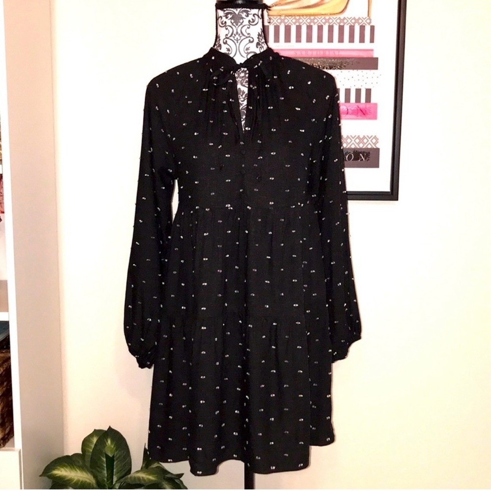 NWT ZARA Dotted Black Long Sleeve Mesh Mini Dress - Small - Picture 2 of 13